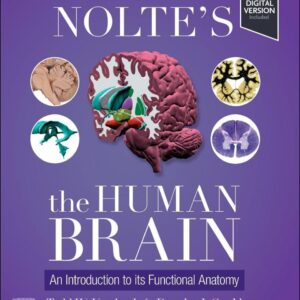 [Original PDF] Nolte's The Human Brain  by Todd W. Vanderah  2025